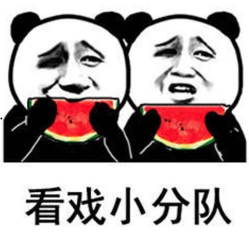 娱乐吃瓜表情包图片大全,笑料横生!娱乐吃瓜表情包大盘点